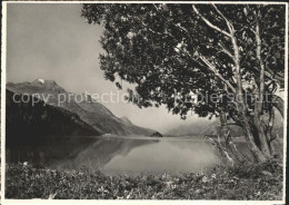 11847007 Silsersee Mit Piz Della Margna Isola Und Maloja Silsersee - Sonstige & Ohne Zuordnung