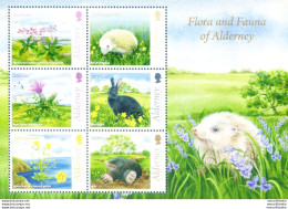 Alderney. Flora E Fauna 2015. - Guernesey