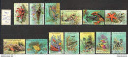 1987 Barbuda - Yvert Et Tellier N. 893-905 - Serie Ordinaria - Fauna Marina - 13 Valori - MNH** - Autres & Non Classés