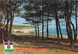 AK 211760 FRANCE - Jard Sur Mer - Other & Unclassified