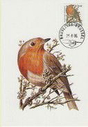 MC BUZIN / Rouge - Gorge / Rooodborstje / Erithacus Rubecula  / Robin  / Rotkehlchen   1986 - Uccelli Canterini Ed Arboricoli