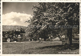 11837226 Schwyz Collegium Schwyz - Autres & Non Classés