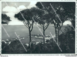 Bi395 Cartolina Porto D'ischia Panorama Generale Provincia Di Napoli - Napoli (Napels)