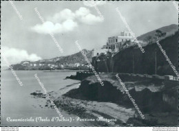 Bg577 Cartolina Casamicciola Pensione Morgera Ischia Provincia Di Napoli - Napoli