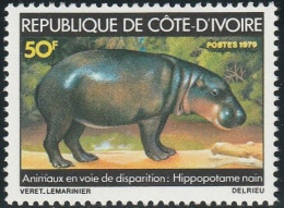 THEMATIC FAUNA:  ENDANGERED SPECIES, PYGMY HIPPOPOTAMUS   -   COTE D'IVOIRE - Autres & Non Classés