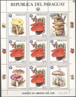 Paraguay 1986, Mushrooms, Butterflies, Sheetlet - Paddestoelen