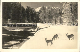 11818237 Davos GR Wild Am Fluss Tief Verschneit Davos Platz - Sonstige & Ohne Zuordnung