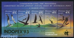 Christmas Islands 1993 Indopex S/s, Mint NH, Nature - Birds - Philately - Christmaseiland