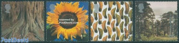 Great Britain 2000 Millennium, Trees 4v, Mint NH, Nature - Flowers & Plants - Trees & Forests - Sonstige & Ohne Zuordnung