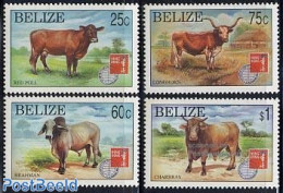 Belize/British Honduras 1997 Rinder, Hong Kong 4v, Mint NH, Nature - Animals (others & Mixed) - Cattle - Philately - Brits-Honduras (...-1970)