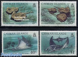 Cayman Islands 1993 Rays 4v, Mint NH, Nature - Fish - Poissons