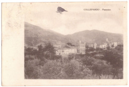 1925 COLLEPARDO 1  PANORAMA    FROSINONE - Frosinone