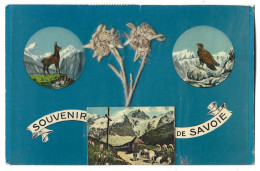 73   Souvenir De Savoie - Avec Fleurs Naturelles  Sous Plastique - Sonstige & Ohne Zuordnung