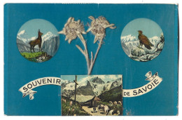 73   Souvenir De Savoie - Avec Fleurs Naturelles  Sous Plastique - Other & Unclassified