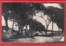 Carte Postale 06. Mandelieu La Napoule   Camp De La Pinède   Très Beau Plan - Autres & Non Classés