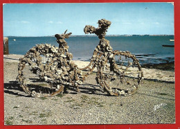 Le Château-d'Oléron (île D'Oléron 17) Sur Le Port Vélo Couvert De Coquillages Après 3 Ans D'immersion 2scans - Ile D'Oléron