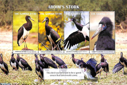 Gambia 2019 Abdim's Stork 4v M/s, Mint NH, Nature - Birds - Gambia (...-1964)