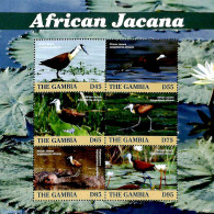 Gambia 2019 African Jacana 6v M/s, Mint NH, Nature - Birds - Gambie (...-1964)