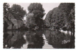 Carte Postale Moderne - 14 Cm X 9 Cm - Circulé - Dép. 28 - NOGENT LE ROI - Bord De L' EURE, Moulin De COULOMBS - Nogent Le Roi