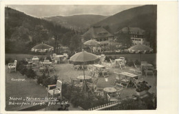 Bärenfels - Hotel Felsenburg - Altenberg