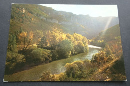 En Parcourant Les Gorges Du Tarn - Contre-jour Dans Les Gorges - Société Des Cartes Postales APA-POUX, Albi - Gorges Du Tarn