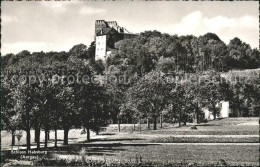 11777257 Habsburg Schloss Habsburg Habsburg - Sonstige & Ohne Zuordnung