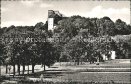 11777257 Habsburg Schloss Habsburg Habsburg - Other & Unclassified