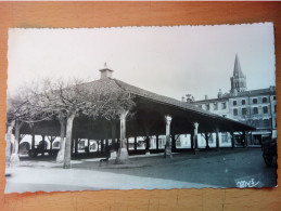 Beaumont De Lomagne, La Halle (A17p46) - Beaumont De Lomagne