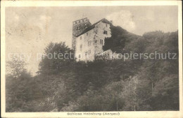 11777247 Habsburg Schloss Habsburg Habsburg - Other & Unclassified