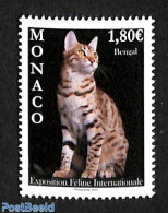 Monaco 2023 International Cat Show 1v, Mint NH, Nature - Cats - Unused Stamps