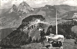 11777027 Stoos SZ Und Die Mythen Gipfelkreuz Betruf Kuh Stoos SZ - Other & Unclassified
