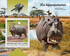 Guinea, Republic 2023 Hippos, Mint NH, Nature - Hippopotamus - Autres & Non Classés