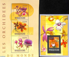 Guinea, Republic 2013 Orchids 2 S/s, Mint NH, Nature - Flowers & Plants - Orchids - Andere & Zonder Classificatie