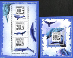 Guinea, Republic 2013 Whales 2 S/s, Mint NH, Nature - Sea Mammals - Other & Unclassified