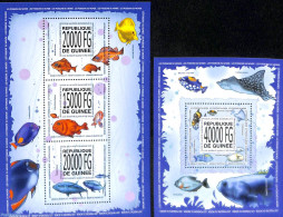 Guinea, Republic 2013 Fishes 2 S/s, Mint NH, Nature - Fish - Fische