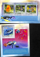 Guinea, Republic 2014 Fishes 2 S/s, Mint NH, Nature - Fish - Vissen