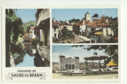 64/ CPSM - Souvenir De Salies De Béarn - Salies De Bearn