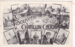 45. CHATILLON COLLIGNY . CPA. MULTI VUES. " SOUVENIR DE CHATILLON COLIGNY " .. ANNEE 1942 + TEXTE - Andere & Zonder Classificatie