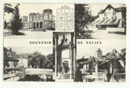 64/ CPSM - Souvenir De Salies - Salies De Bearn