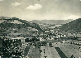 BORGO TUFICO DI ALBACINA / ANCONA ) PANORAMA - FOTO MICOZZI - SPEDITA 1956 (20592) - Ancona