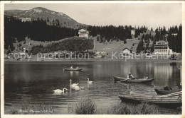 11773026 Arosa GR Partie Am Obersee Boote Schwaene Arosa - Sonstige & Ohne Zuordnung