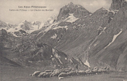 VALLEE De L'UBAYE  (Alpes-de-Haute-Provence):  Le Glacier Du Marinet - Troupeau De Moutons - Other & Unclassified