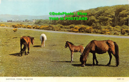 R421642 Dartmoor. Ponies. Yelverton. KDM 133. Cotman Color. Jarrold - World