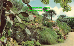 R421647 Tresco Gardens. Scilly. Natural Colour Series. F. E. Gibson. 1975 - World