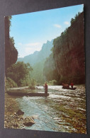 En Parcourant Les Gorges Du Tarn - Contre-jour Dans Les Détroits Descente En Barques - APA-POUX, Albi - Gorges Du Tarn