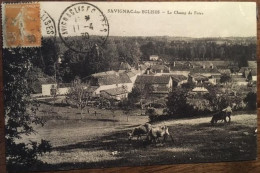 Cpa 24 Dordogne, SAVIGNAC LES EGLISES, Le Champ De Foire, Vaches Ou Boeufs Au Pâturage, éd Coustillas, En 1930 - Altri & Non Classificati