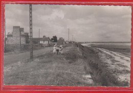 Carte Postale 35. Hirel  La Grève Des Sablines  Très Beau Plan - Andere & Zonder Classificatie