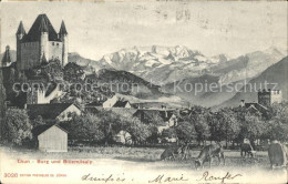 11769316 Thun BE Burg Mit Bluemlisalp Thun - Autres & Non Classés