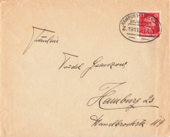 Bahnpost (Ambulant; R.P.O./T.P.O.) Hamburg-Süderlingen (ZA2546) - Cartas & Documentos