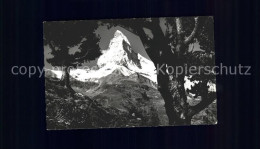 11761877 Zermatt VS Blick Arvenwald Riffelalp Matterhorn  - Andere & Zonder Classificatie